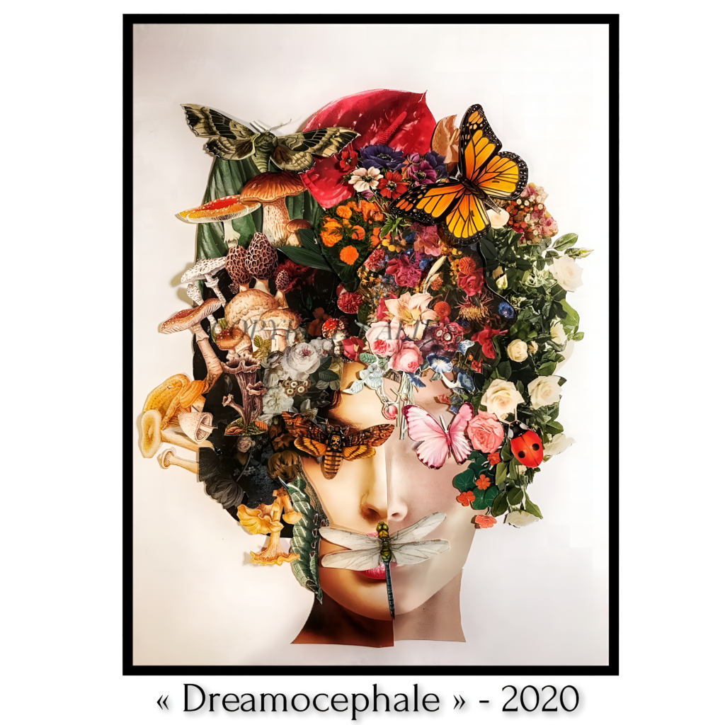 dreamocephale2020